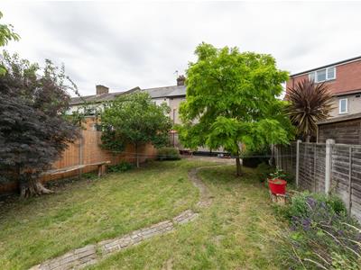 Picture 25
